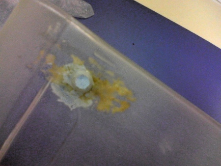 f:id:sutara_lumpur:20100624103827j:image