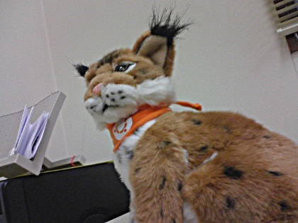 f:id:sutara_lumpur:20101216110351j:image f:id:sutara_lumpur:20101216110351j:image