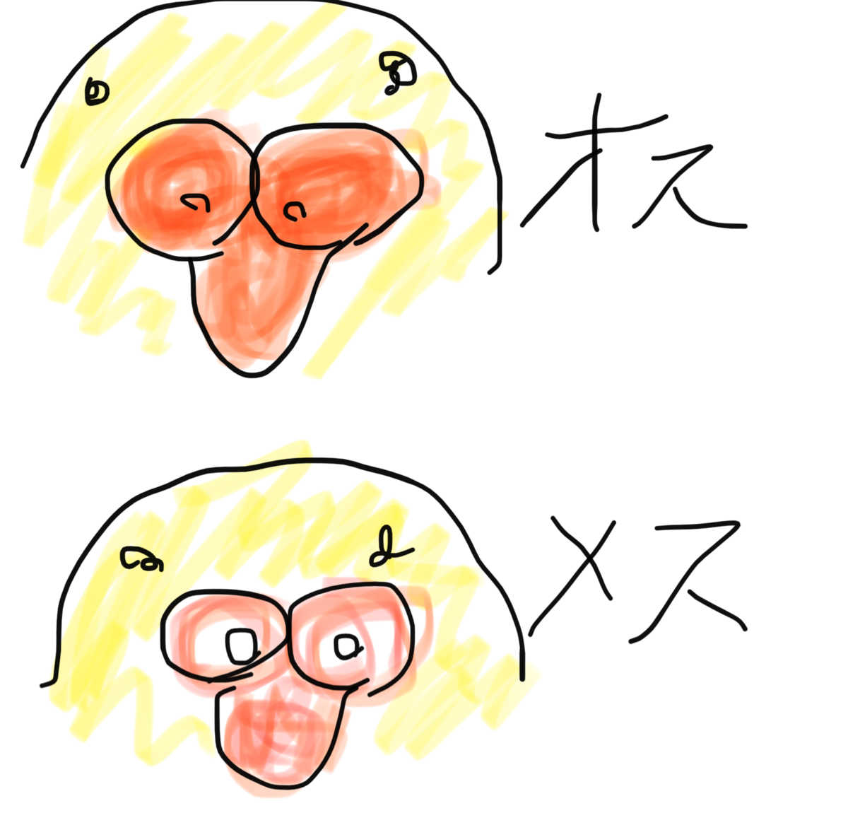 f:id:suteblog:20200516235312p:plain f:id:suteblog:20200516235312p:plain