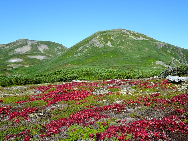 f:id:suteki-hokkaido:20190905200810j:plain