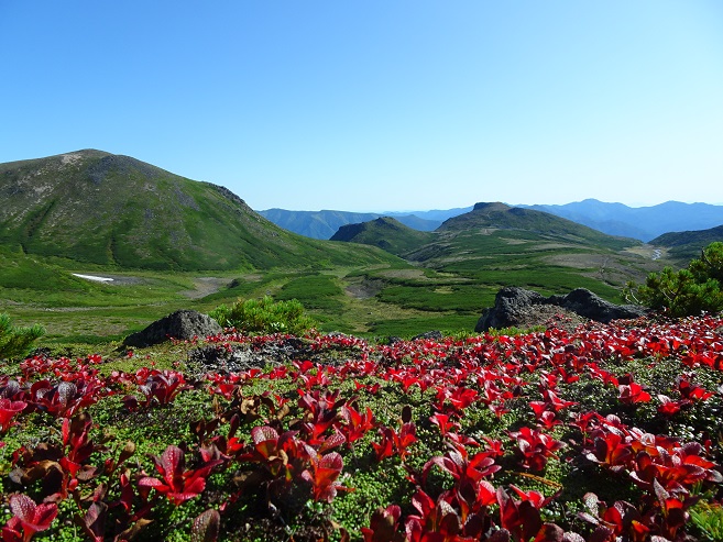 f:id:suteki-hokkaido:20190905200817j:plain
