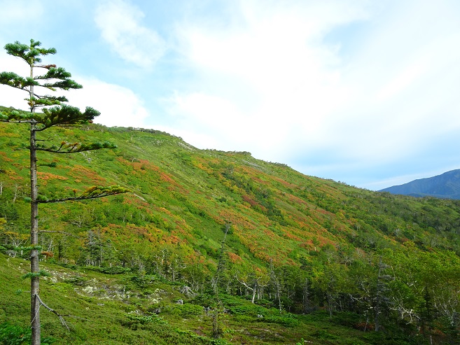 f:id:suteki-hokkaido:20190915183636j:plain