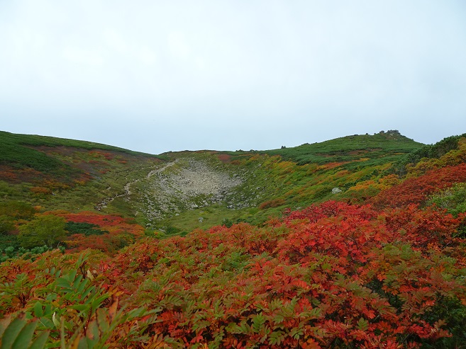 f:id:suteki-hokkaido:20190915183642j:plain