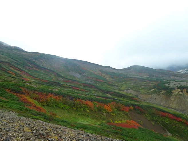 f:id:suteki-hokkaido:20190915183729j:plain