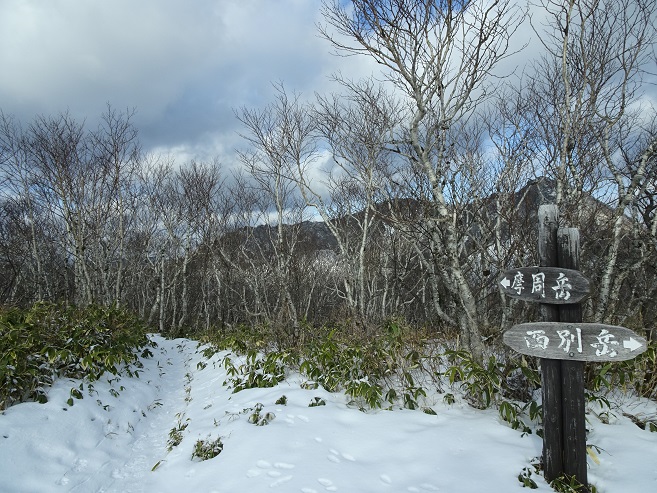 f:id:suteki-hokkaido:20200103090932j:plain