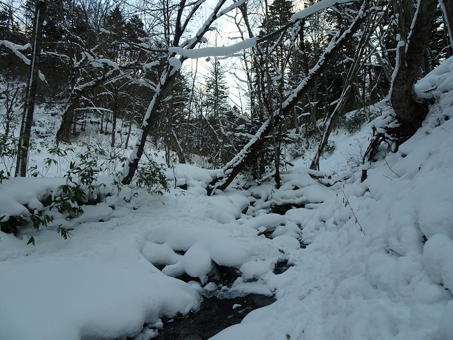 f:id:suteki-hokkaido:20200113161233j:plain