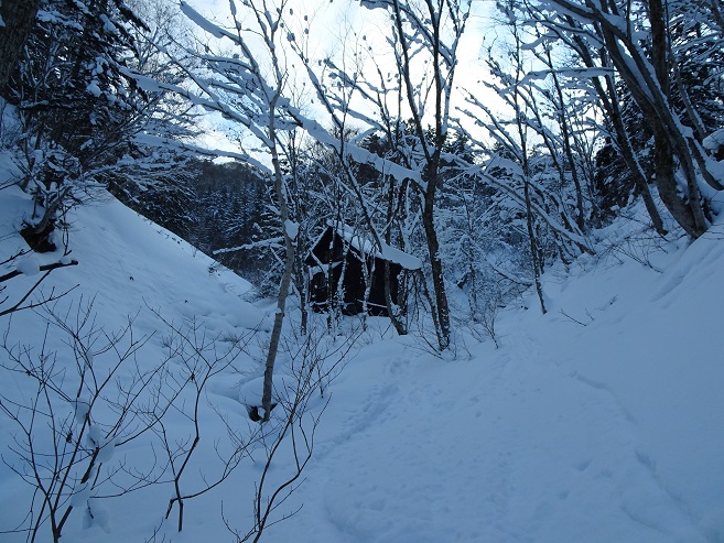 f:id:suteki-hokkaido:20200113161236j:plain