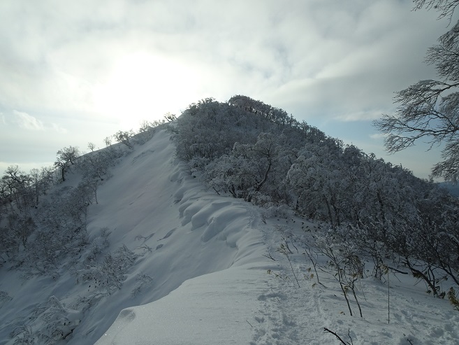 f:id:suteki-hokkaido:20200119213642j:plain f:id:suteki-hokkaido:20200119213642j:plain