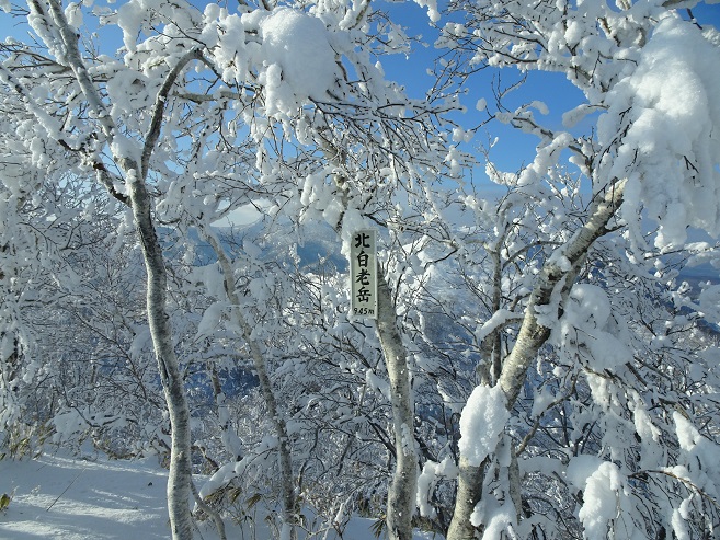 f:id:suteki-hokkaido:20200119213645j:plain f:id:suteki-hokkaido:20200119213645j:plain