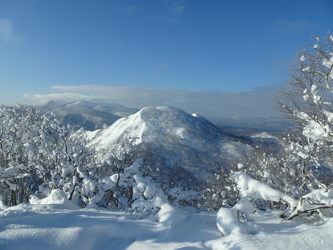 f:id:suteki-hokkaido:20200119213648j:plain f:id:suteki-hokkaido:20200119213648j:plain
