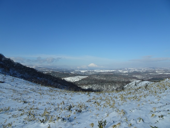 f:id:suteki-hokkaido:20200119213700j:plain f:id:suteki-hokkaido:20200119213700j:plain