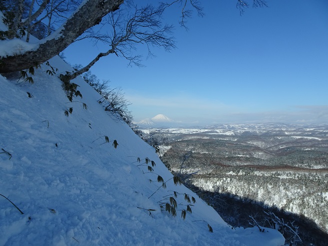 f:id:suteki-hokkaido:20200119213703j:plain f:id:suteki-hokkaido:20200119213703j:plain