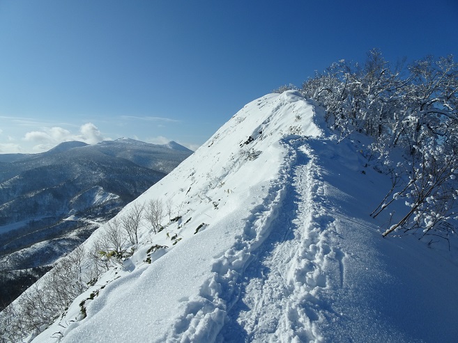 f:id:suteki-hokkaido:20200119213706j:plain f:id:suteki-hokkaido:20200119213706j:plain