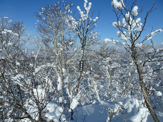 f:id:suteki-hokkaido:20200119213708j:plain f:id:suteki-hokkaido:20200119213708j:plain