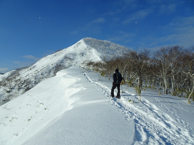 f:id:suteki-hokkaido:20200119213719j:plain f:id:suteki-hokkaido:20200119213719j:plain