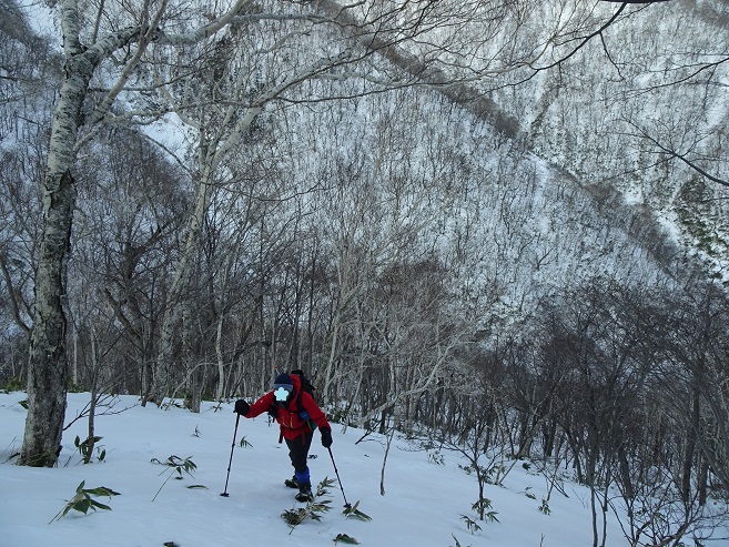 f:id:suteki-hokkaido:20200216103156j:plain