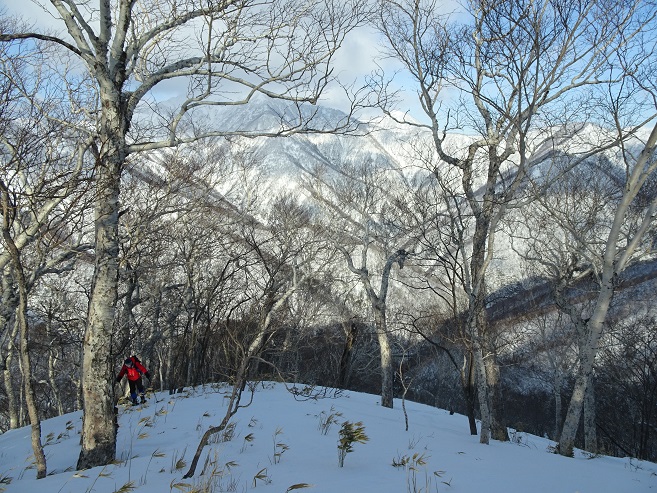 f:id:suteki-hokkaido:20200216103200j:plain