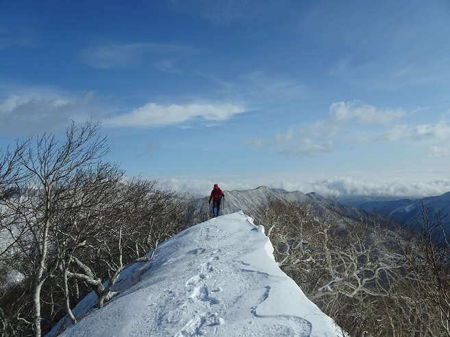 f:id:suteki-hokkaido:20200216103208j:plain
