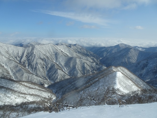 f:id:suteki-hokkaido:20200216103244j:plain