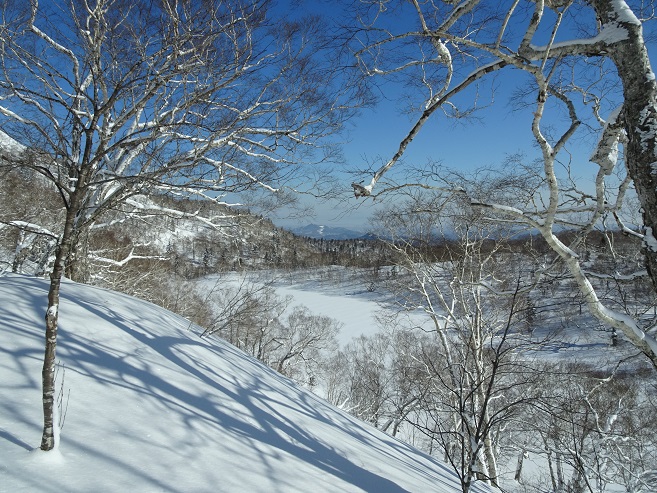 f:id:suteki-hokkaido:20200315082945j:plain