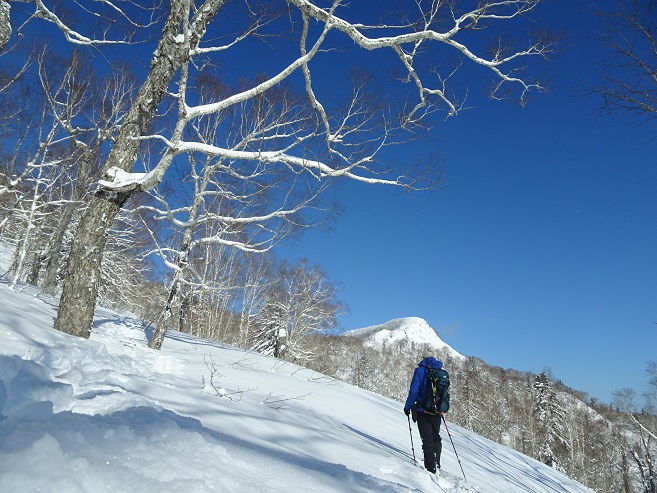 f:id:suteki-hokkaido:20200315083228j:plain