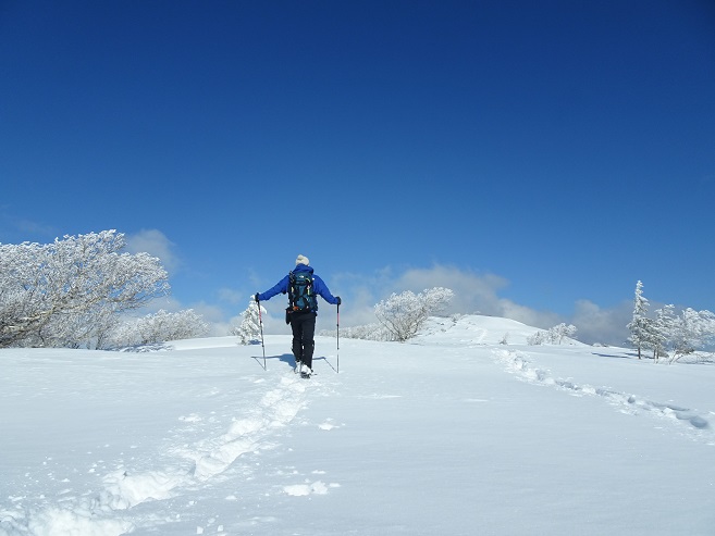 f:id:suteki-hokkaido:20200315091020j:plain
