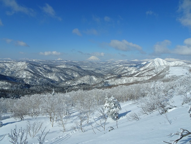 f:id:suteki-hokkaido:20200315093519j:plain