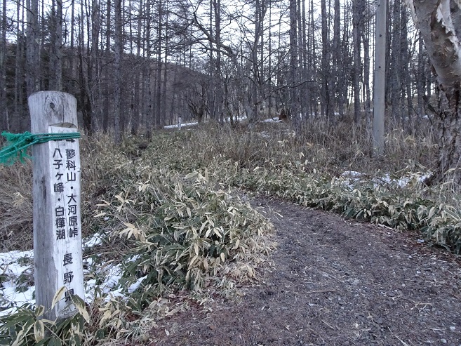 f:id:suteki-hokkaido:20200322182635j:plain f:id:suteki-hokkaido:20200322182635j:plain