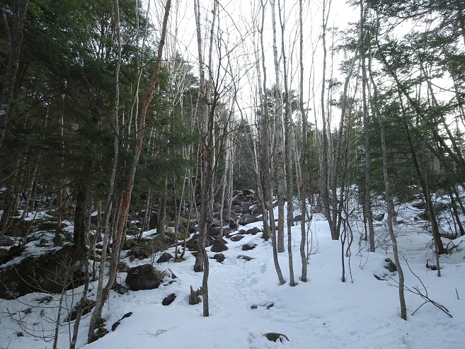 f:id:suteki-hokkaido:20200322182642j:plain f:id:suteki-hokkaido:20200322182642j:plain