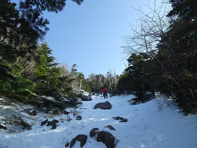 f:id:suteki-hokkaido:20200322182655j:plain f:id:suteki-hokkaido:20200322182655j:plain