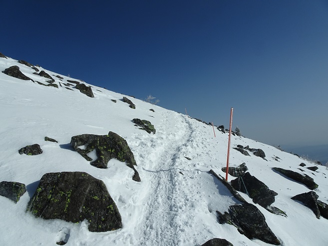 f:id:suteki-hokkaido:20200322182708j:plain f:id:suteki-hokkaido:20200322182708j:plain