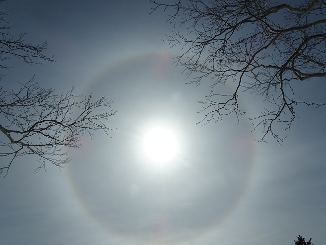 f:id:suteki-hokkaido:20200331213434j:plain f:id:suteki-hokkaido:20200331213434j:plain