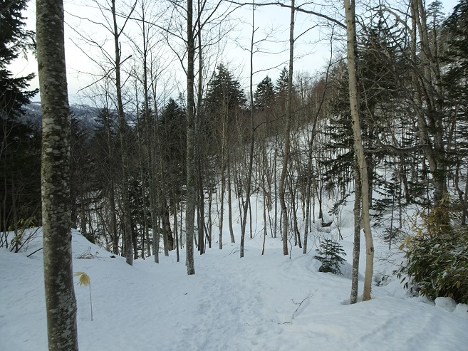 f:id:suteki-hokkaido:20200331213448j:plain f:id:suteki-hokkaido:20200331213448j:plain