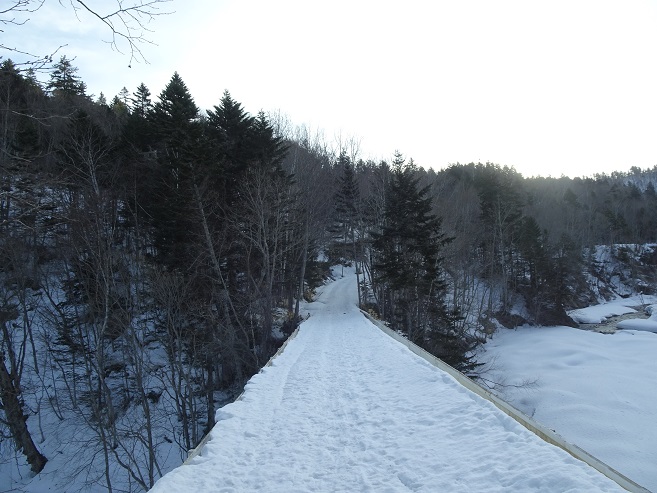 f:id:suteki-hokkaido:20200331213455j:plain f:id:suteki-hokkaido:20200331213455j:plain