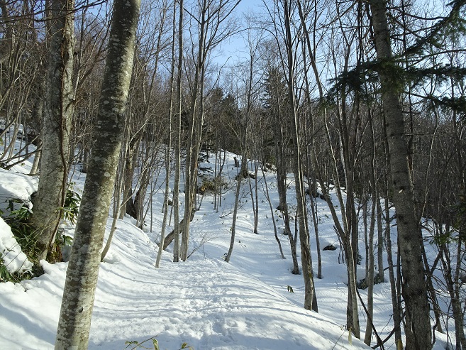 f:id:suteki-hokkaido:20200331213501j:plain f:id:suteki-hokkaido:20200331213501j:plain