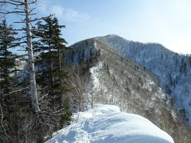 f:id:suteki-hokkaido:20200331213512j:plain f:id:suteki-hokkaido:20200331213512j:plain