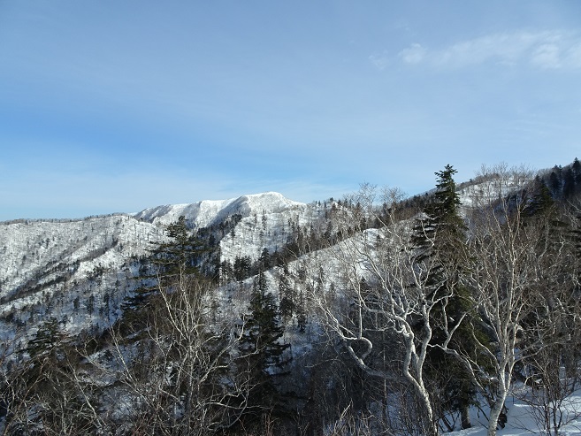 f:id:suteki-hokkaido:20200331213520j:plain f:id:suteki-hokkaido:20200331213520j:plain