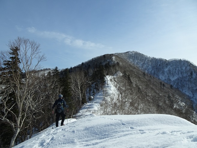 f:id:suteki-hokkaido:20200331213523j:plain f:id:suteki-hokkaido:20200331213523j:plain