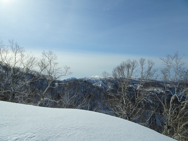f:id:suteki-hokkaido:20200331213528j:plain f:id:suteki-hokkaido:20200331213528j:plain