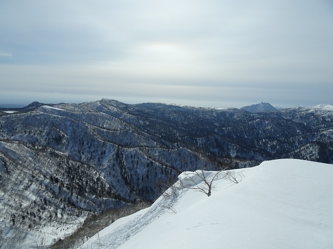 f:id:suteki-hokkaido:20200331213543j:plain f:id:suteki-hokkaido:20200331213543j:plain