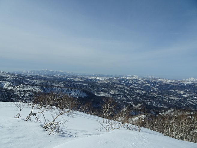 f:id:suteki-hokkaido:20200331213547j:plain f:id:suteki-hokkaido:20200331213547j:plain