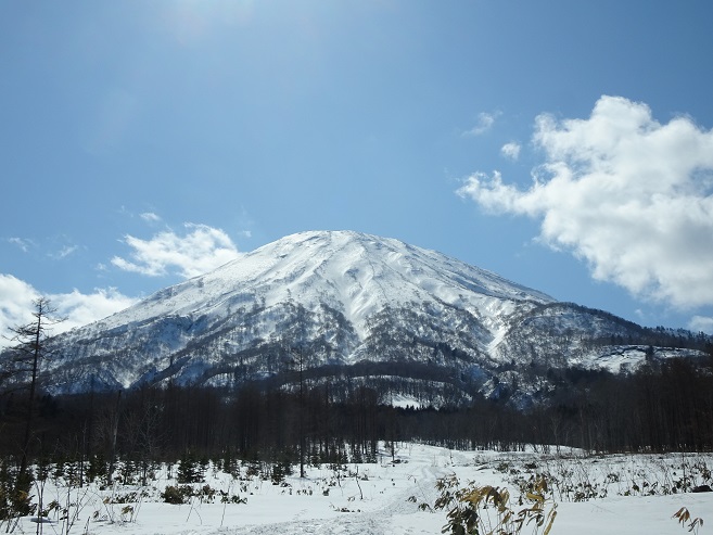 f:id:suteki-hokkaido:20200413233304j:plain f:id:suteki-hokkaido:20200413233304j:plain