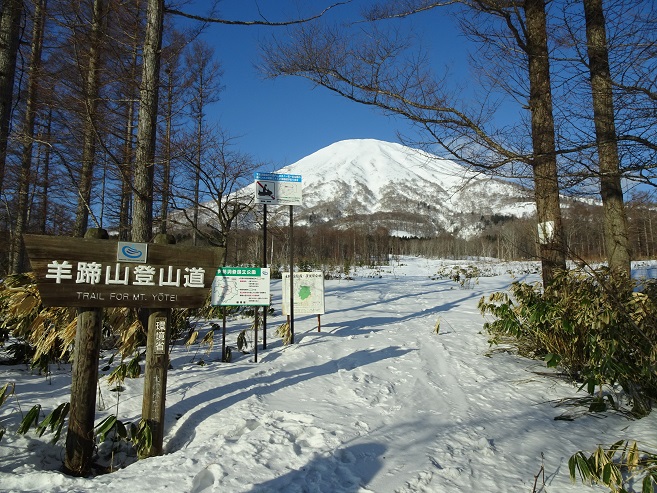 f:id:suteki-hokkaido:20200413233315j:plain f:id:suteki-hokkaido:20200413233315j:plain