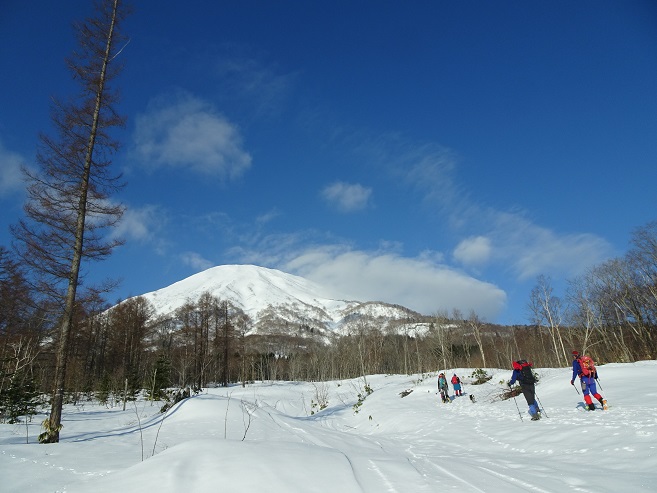 f:id:suteki-hokkaido:20200413233319j:plain f:id:suteki-hokkaido:20200413233319j:plain
