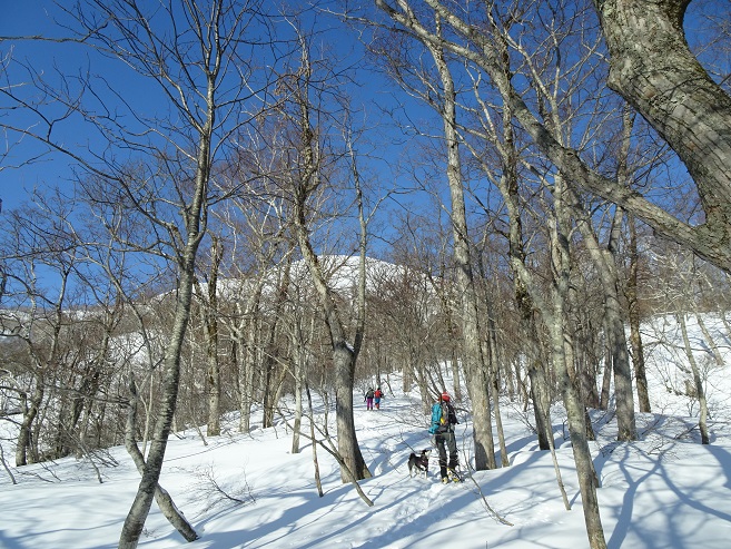 f:id:suteki-hokkaido:20200413233322j:plain f:id:suteki-hokkaido:20200413233322j:plain