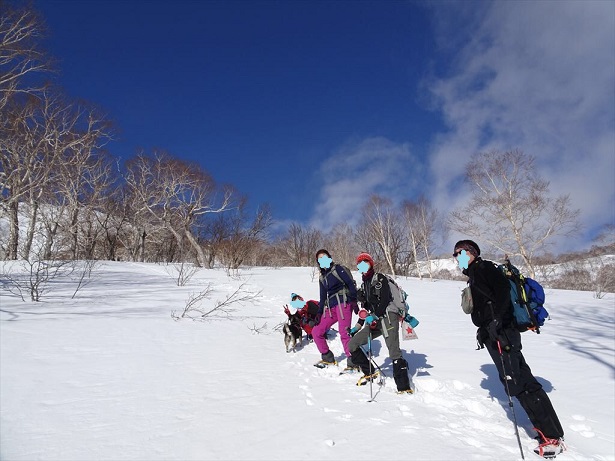 f:id:suteki-hokkaido:20200413233325j:plain f:id:suteki-hokkaido:20200413233325j:plain
