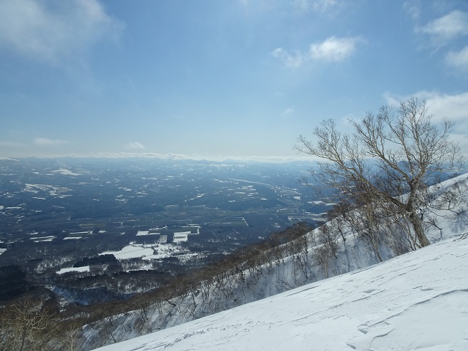 f:id:suteki-hokkaido:20200413233329j:plain f:id:suteki-hokkaido:20200413233329j:plain