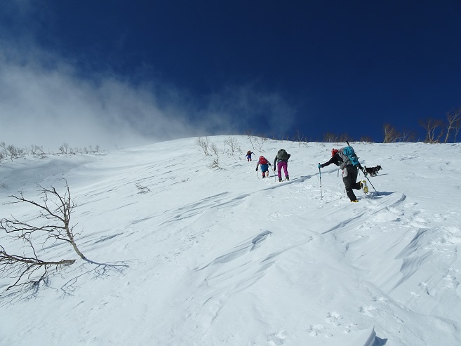 f:id:suteki-hokkaido:20200413233332j:plain f:id:suteki-hokkaido:20200413233332j:plain