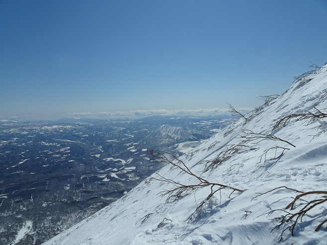 f:id:suteki-hokkaido:20200413233336j:plain f:id:suteki-hokkaido:20200413233336j:plain