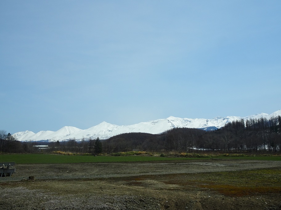 f:id:suteki-hokkaido:20200419081602j:plain